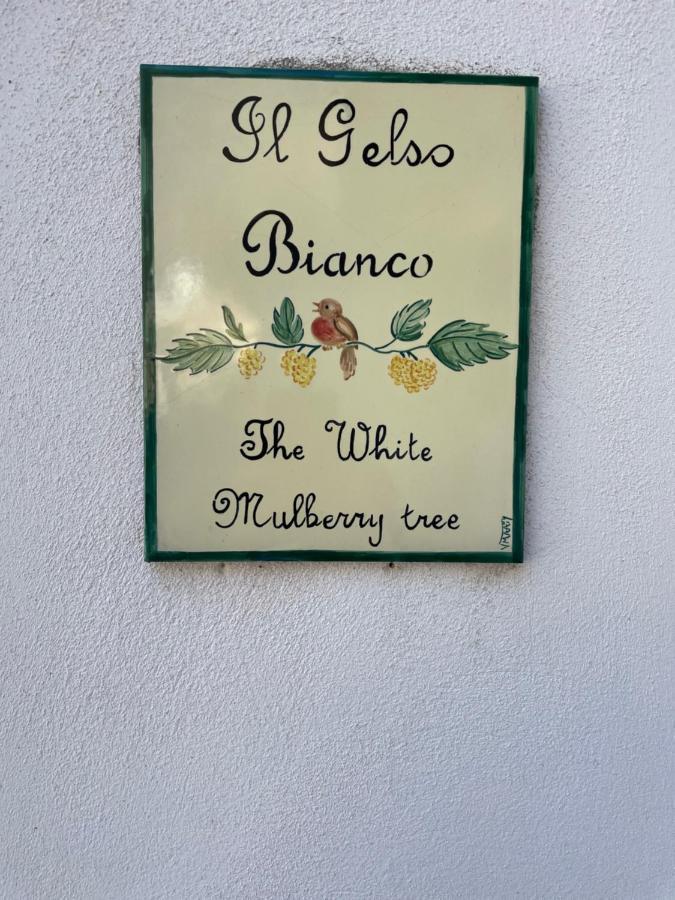 Il Gelso Bianco -The White Mulberry Tree Ravello Exterior foto
